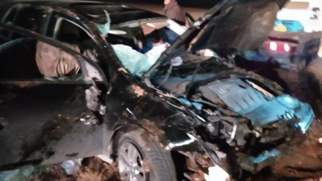 Van’da otomobilin kontrolden çıkması sonucu 2 kişi yaralandı