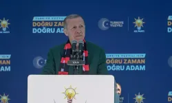Erdoğan Van'daki Oy Oranını Arttırdı