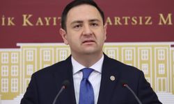 CHP'li Milletvekili Akdoğan: Bir yerden giriyor, bir yerden gidiyor!