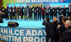 AK Parti Van adayları vitrine çıktı! İşte Ak Parti'nin Van adayları