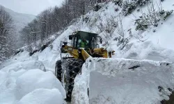 Van'da kar yağışı hayatı olumsuz etkiliyor!