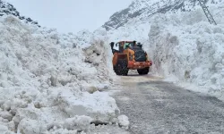 Kar Van’da etkili oldu: 493 yol ulaşıma kapandı