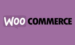 WooCommerce Destek Hizmeti Alırken Nelere Dikkat Edilmelidir?