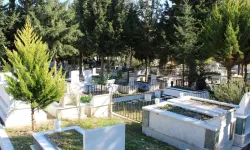 Van’da Ölümlerin Beşte Biri Tek Bir Nedenden!