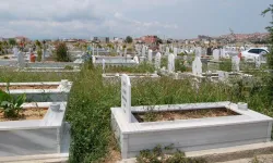 Van, Ölüm Hızının En Düşük Olduğu İller Arasında Yer Aldı!