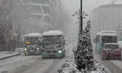 Van Güne Beyazla Uyandı: Kar Yağışı Ne Zamana Kadar Sürecek?