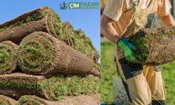 Hazır Rulo Çim Nedir? Kışa Dayanıklı mı? Fiyatları Ne Kadar?