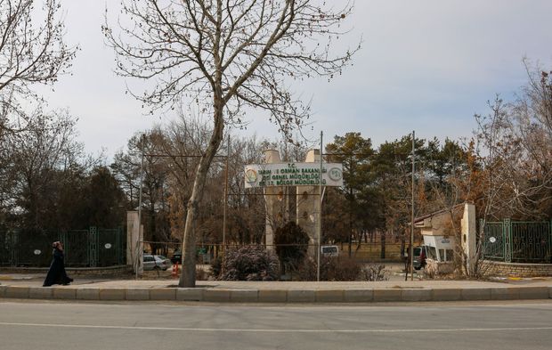 Eski DSİ arazisi Van'ın yeşil kalbi oluyor