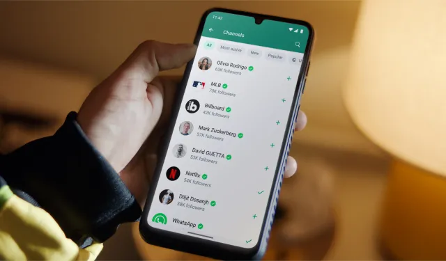 WhatsApp'a yeni özellik geliyor!