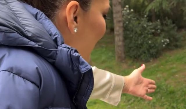 Demet Akalın, İneklere 'Yalan mı' Şarkısını Söyledi: Sosyal Medyada Büyük İlgi