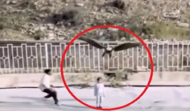 İran'da Kel Kartalın Küçük Kızı Kaçırmaya Çalıştığı Anlar Şok Etti