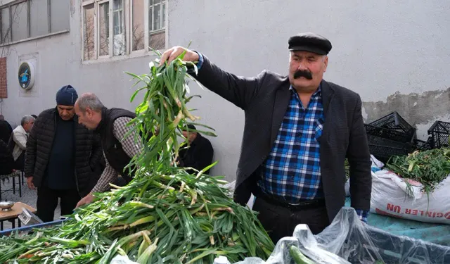 Van’da Şifalı Otlara Yoğun İlgi: Baharın Bereketi Tezgâhlarda!