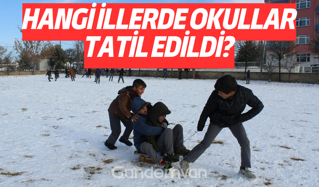 Hangi İllerde Okullar Tatil Edildi? Okul Tatili Olan Şehirler