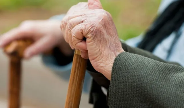 Van'ın aktif yaşlanma endeksi açıklandı