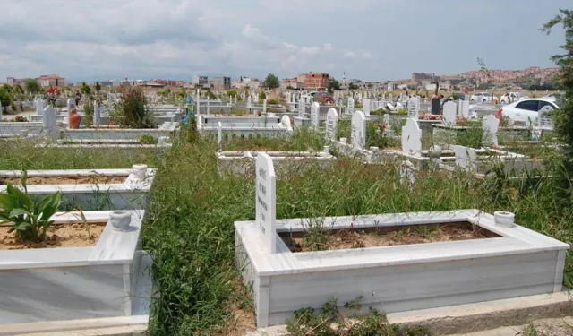 Van, Ölüm Hızının En Düşük Olduğu İller Arasında Yer Aldı!