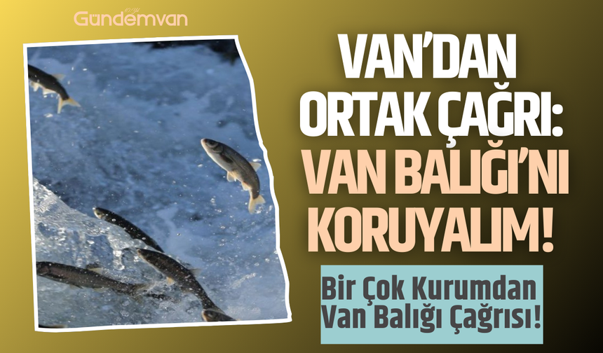Van’dan Ortak Çağrı: Van Balığı’nı Koruyalım!