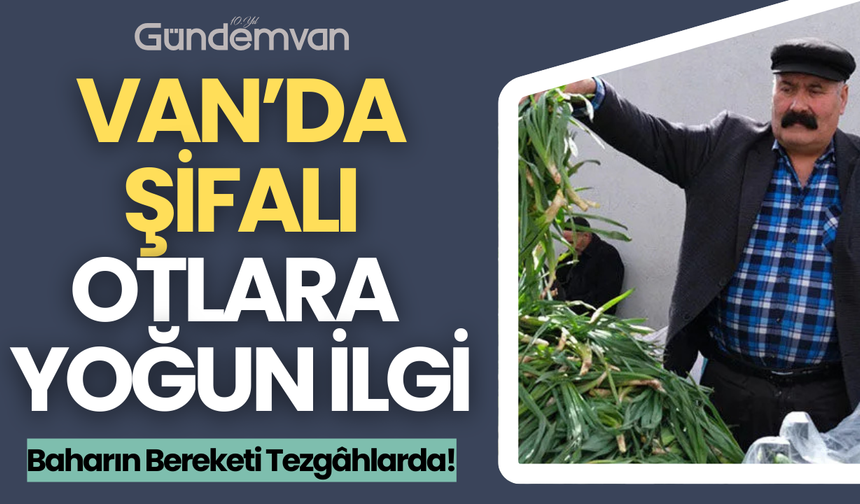 Van’da Şifalı Otlara Yoğun İlgi: Baharın Bereketi Tezgâhlarda!