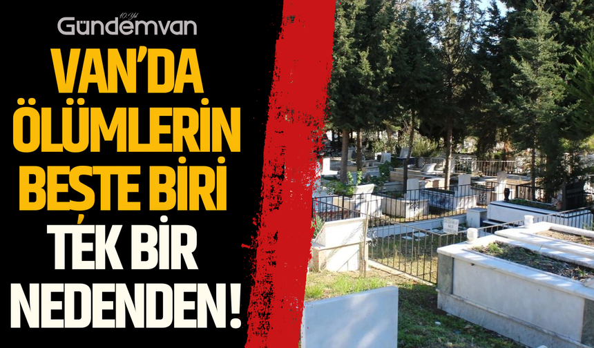 Van’da Ölümlerin Beşte Biri Tek Bir Nedenden!