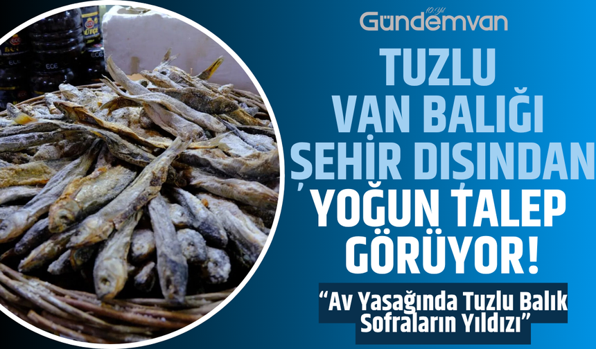 Tuzlu Van Balığı Şehir Dışından Yoğun Talep Görüyor!