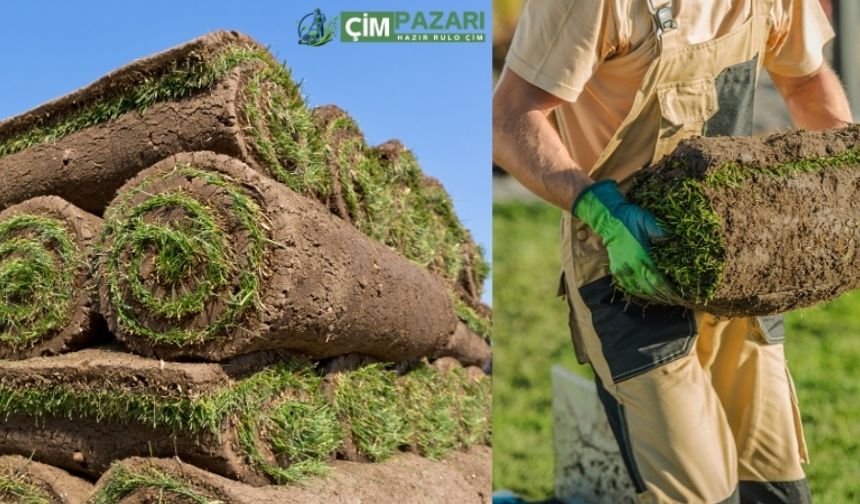 Hazır Rulo Çim Nedir? Kışa Dayanıklı mı? Fiyatları Ne Kadar?