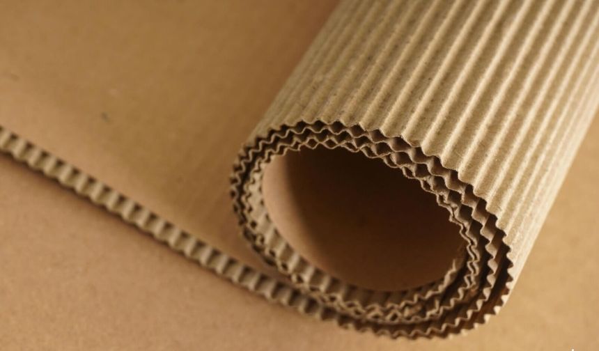 Ondüle Rulo Karton Kalite Rehberi